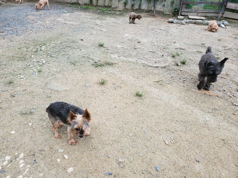f:id:roukenhome-ann:20190911053054j:plain