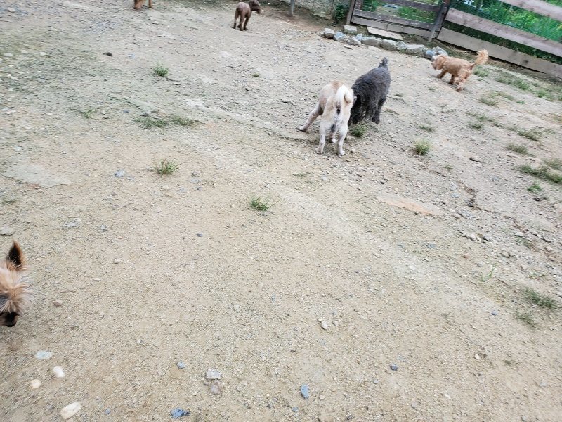 f:id:roukenhome-ann:20190911053059j:plain