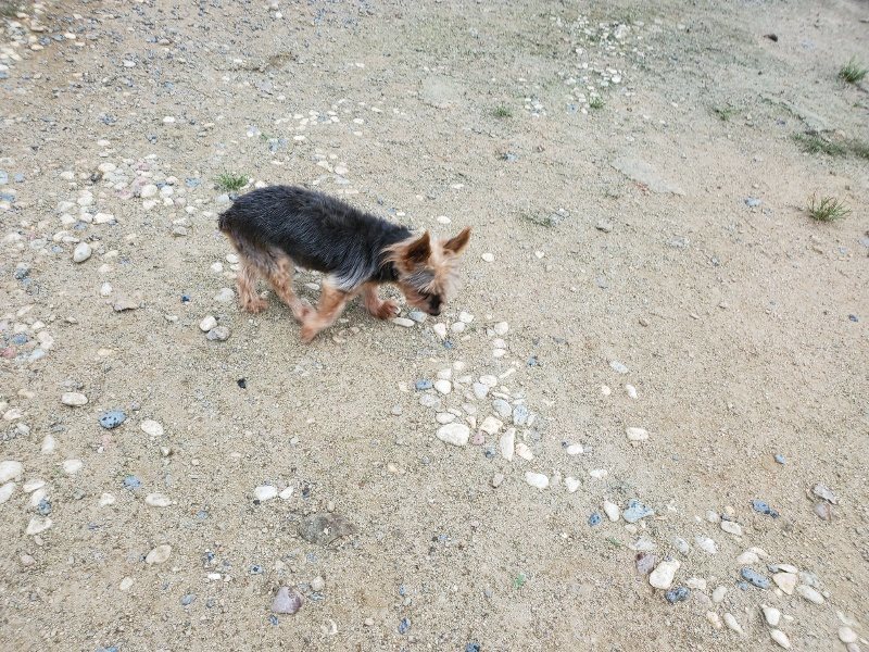 f:id:roukenhome-ann:20190911053104j:plain