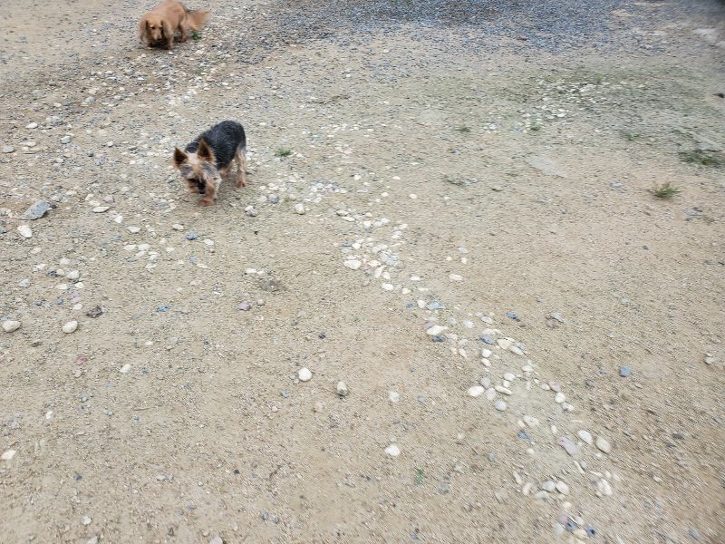 f:id:roukenhome-ann:20190911053117j:plain