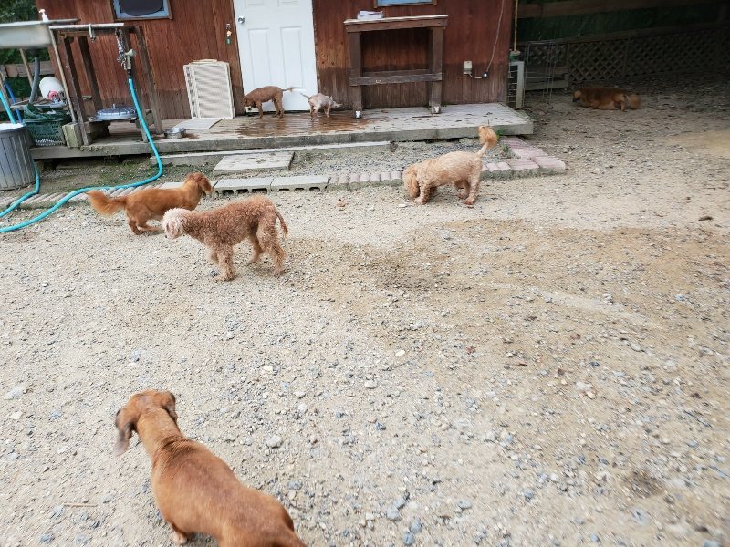 f:id:roukenhome-ann:20190911063738j:plain