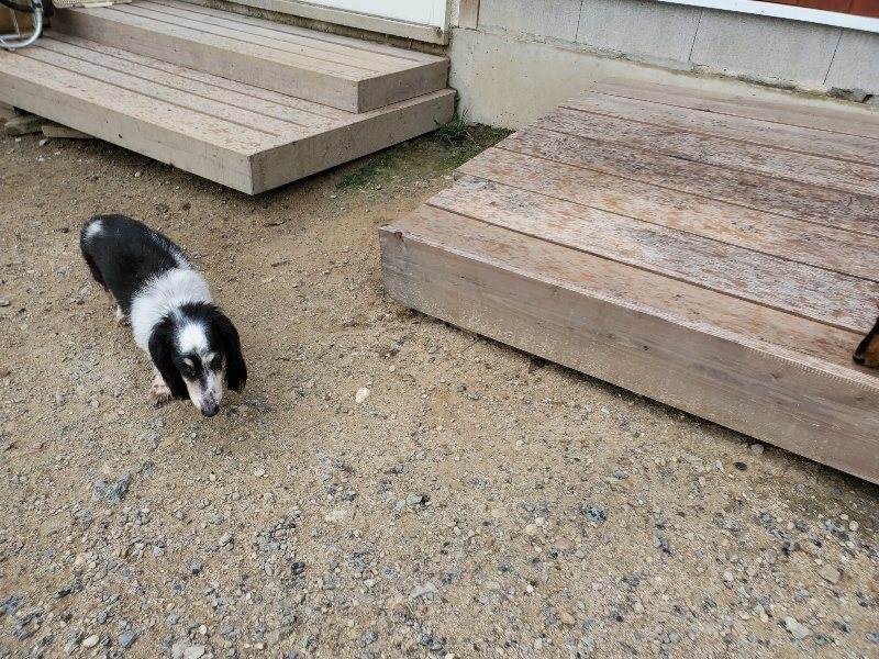 f:id:roukenhome-ann:20190911063745j:plain