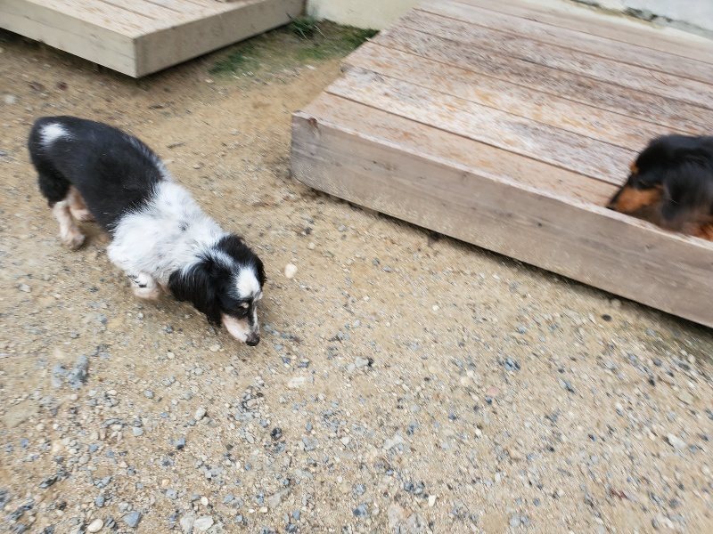 f:id:roukenhome-ann:20190911063757j:plain