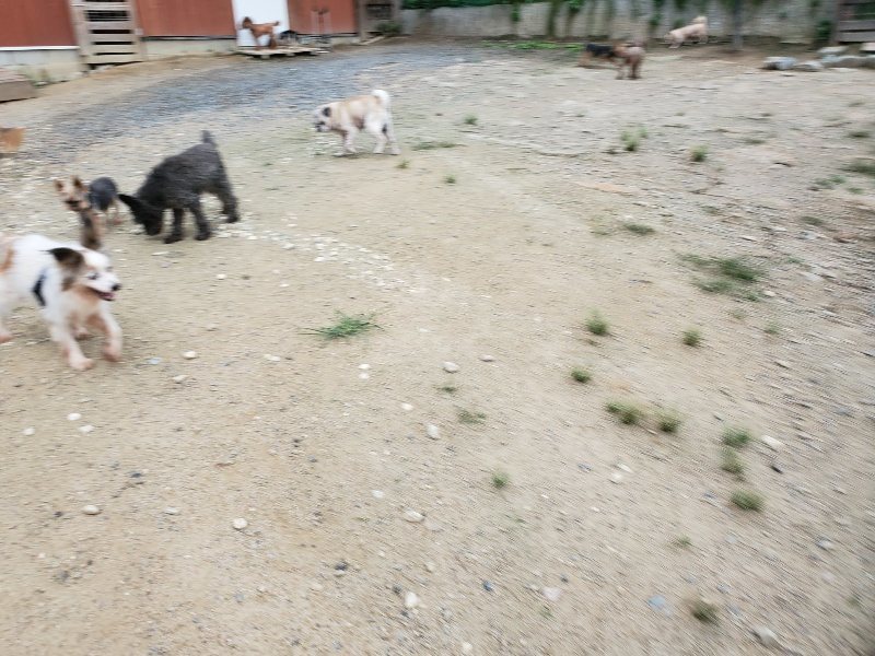 f:id:roukenhome-ann:20190911063807j:plain
