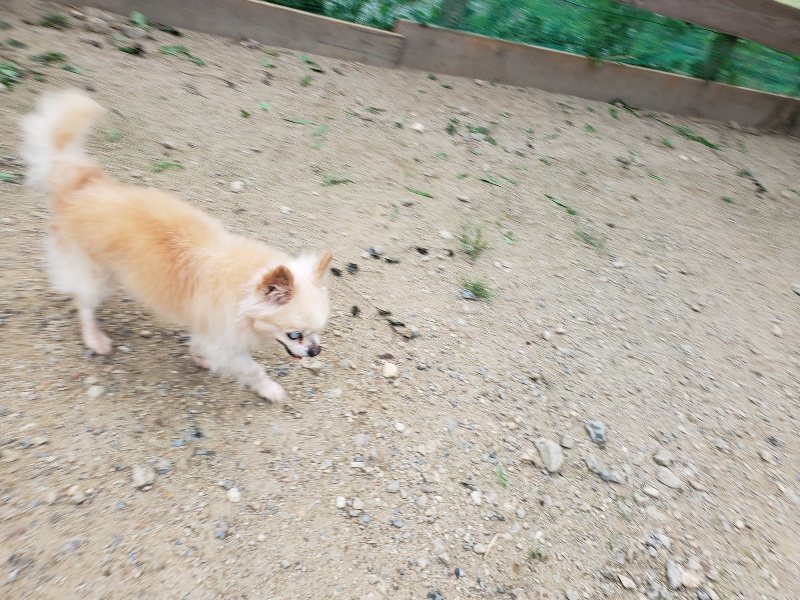 f:id:roukenhome-ann:20190911063825j:plain