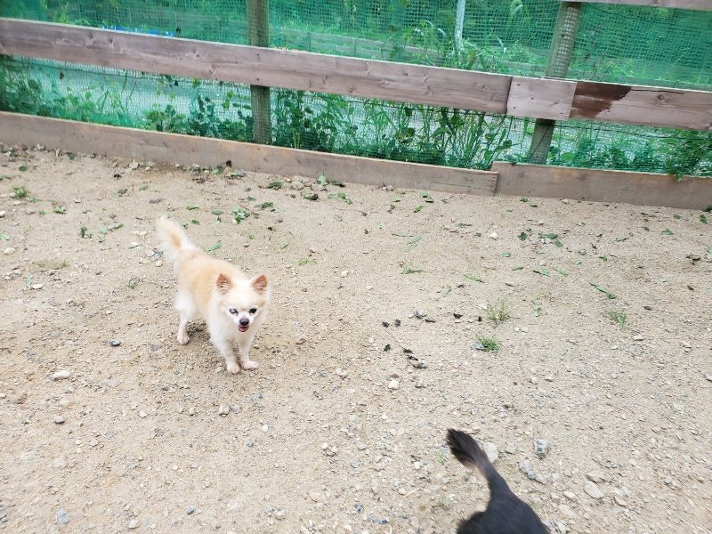 f:id:roukenhome-ann:20190911063842j:plain