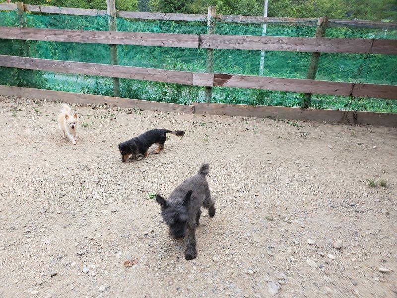 f:id:roukenhome-ann:20190911063850j:plain
