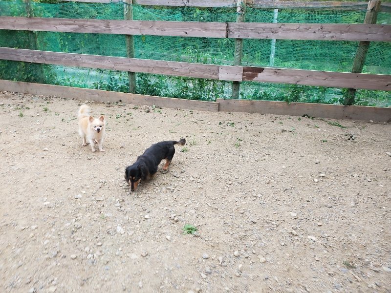 f:id:roukenhome-ann:20190911063857j:plain