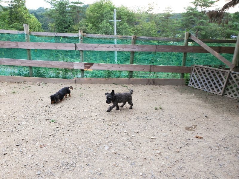 f:id:roukenhome-ann:20190911063903j:plain
