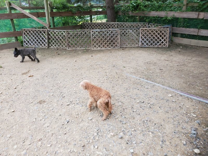 f:id:roukenhome-ann:20190911063909j:plain