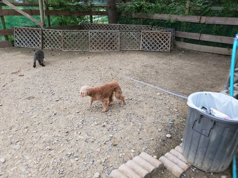 f:id:roukenhome-ann:20190911063915j:plain