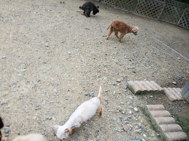 f:id:roukenhome-ann:20190911063920j:plain