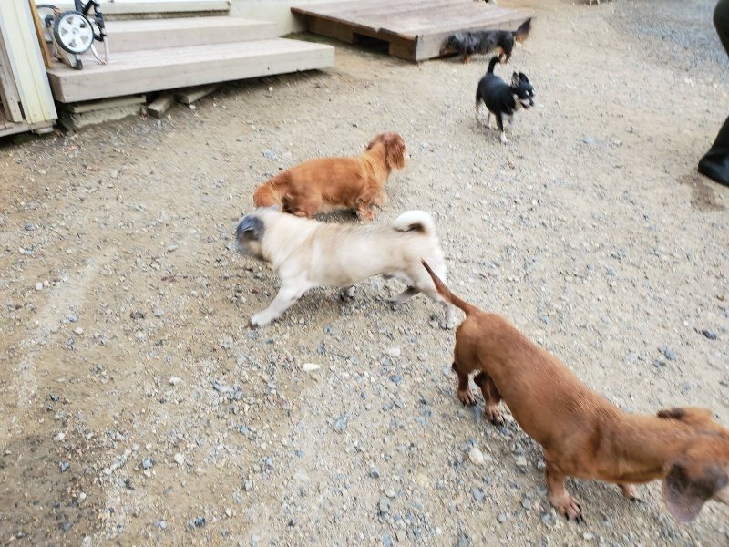 f:id:roukenhome-ann:20190911063955j:plain