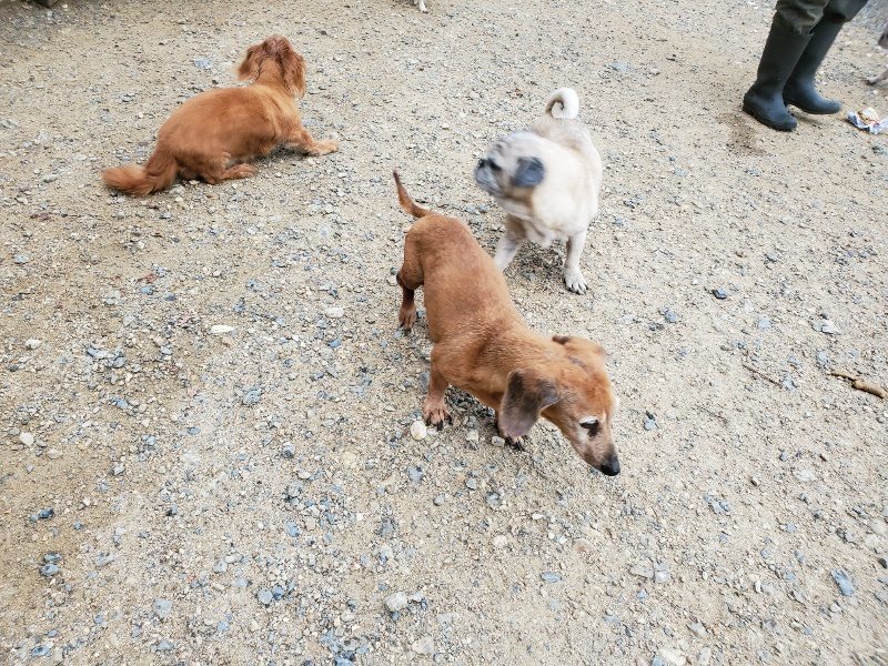 f:id:roukenhome-ann:20190911064001j:plain