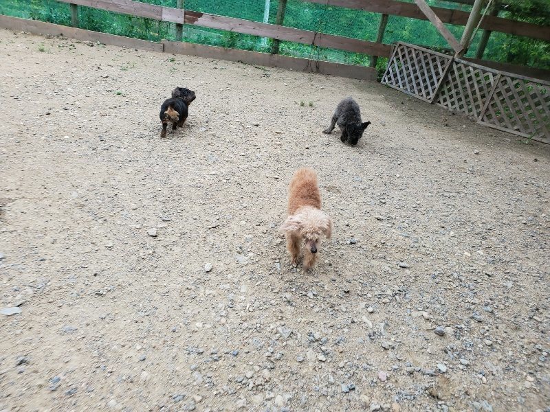 f:id:roukenhome-ann:20190911064019j:plain