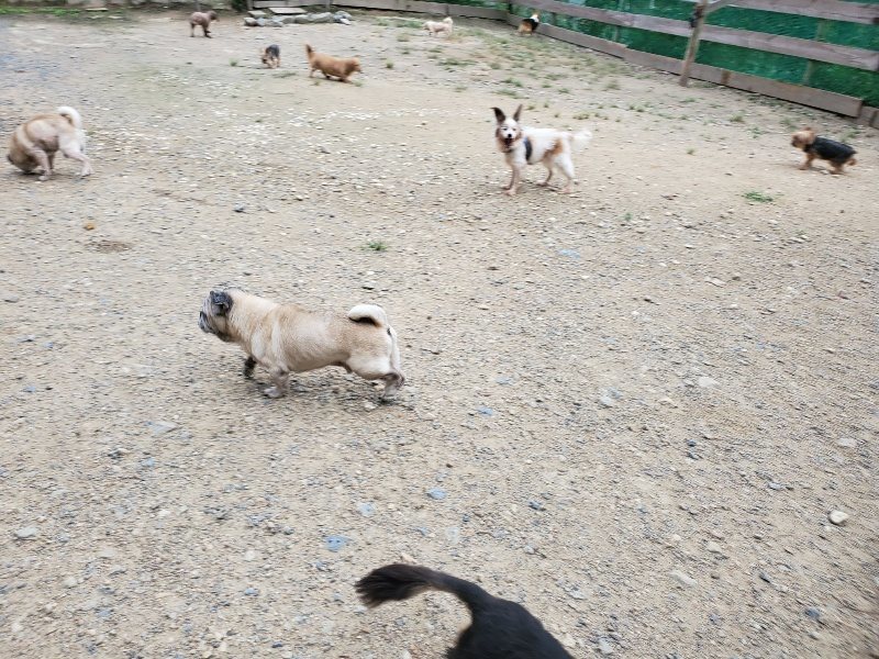 f:id:roukenhome-ann:20190911064044j:plain