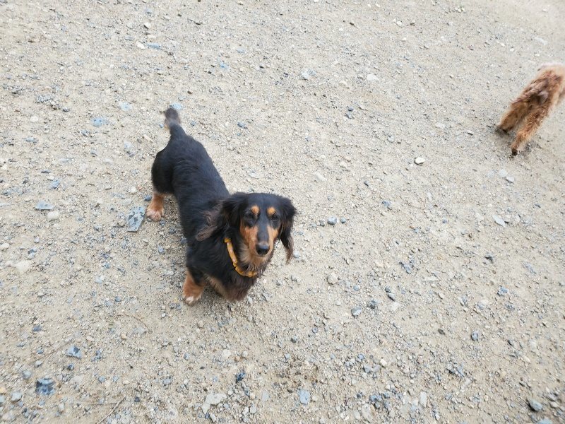 f:id:roukenhome-ann:20190911064108j:plain