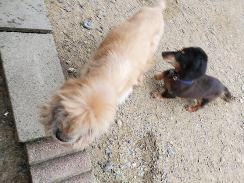 f:id:roukenhome-ann:20190911064119j:plain