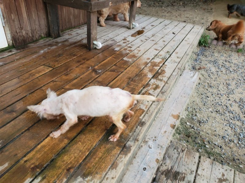 f:id:roukenhome-ann:20190911064142j:plain