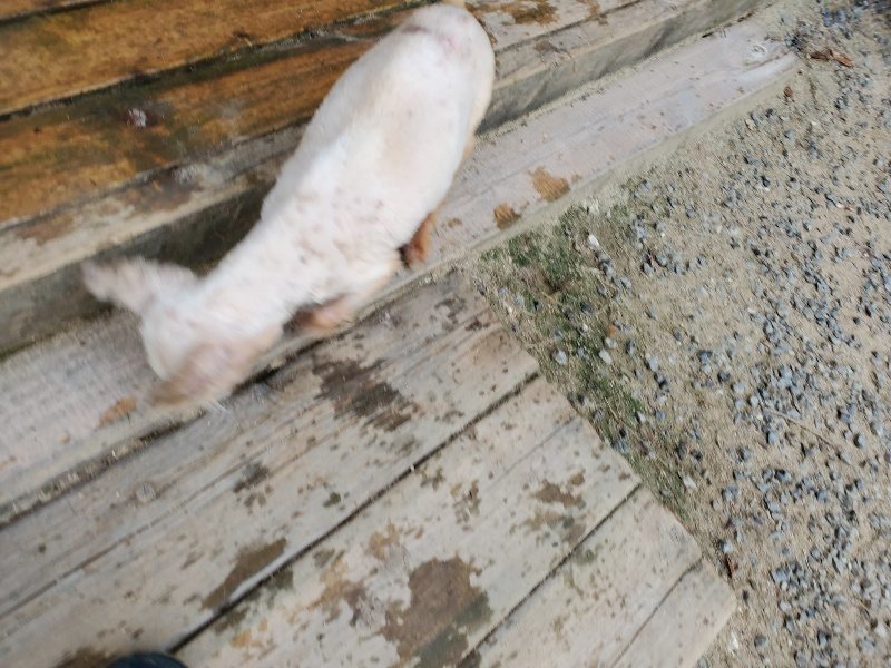 f:id:roukenhome-ann:20190911064148j:plain