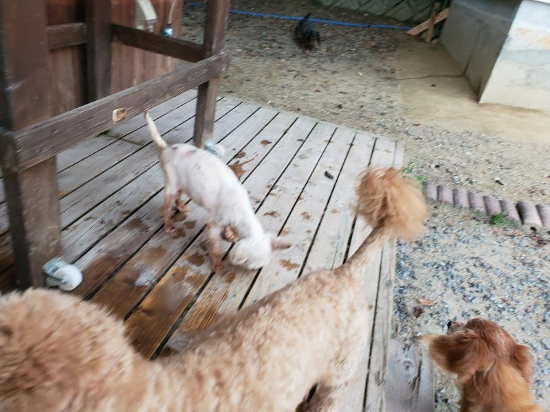 f:id:roukenhome-ann:20190911064216j:plain