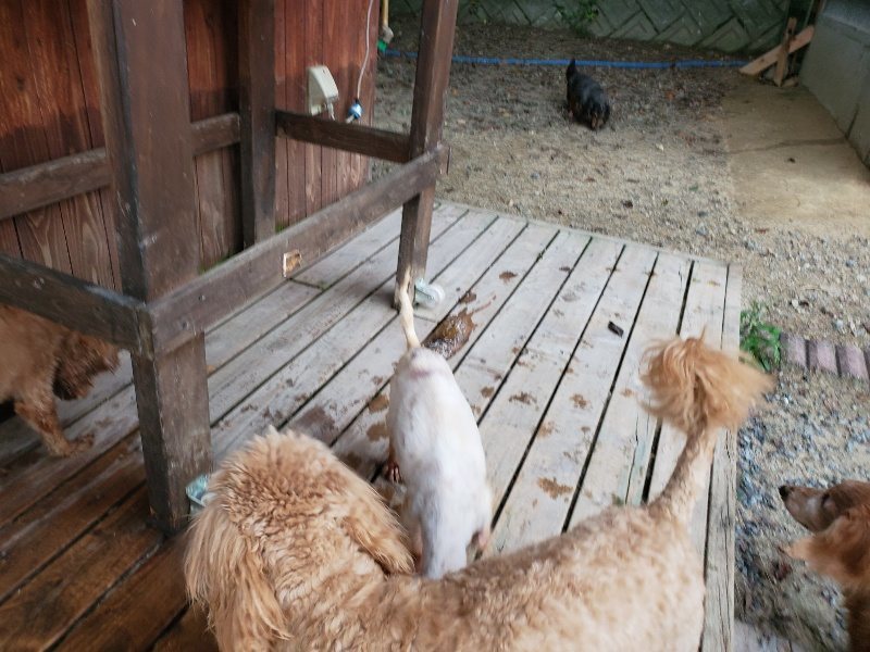 f:id:roukenhome-ann:20190911064221j:plain