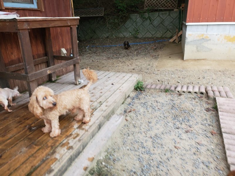 f:id:roukenhome-ann:20190911064236j:plain