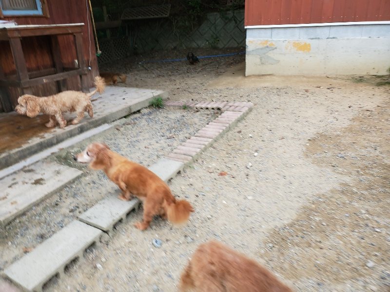 f:id:roukenhome-ann:20190911064247j:plain