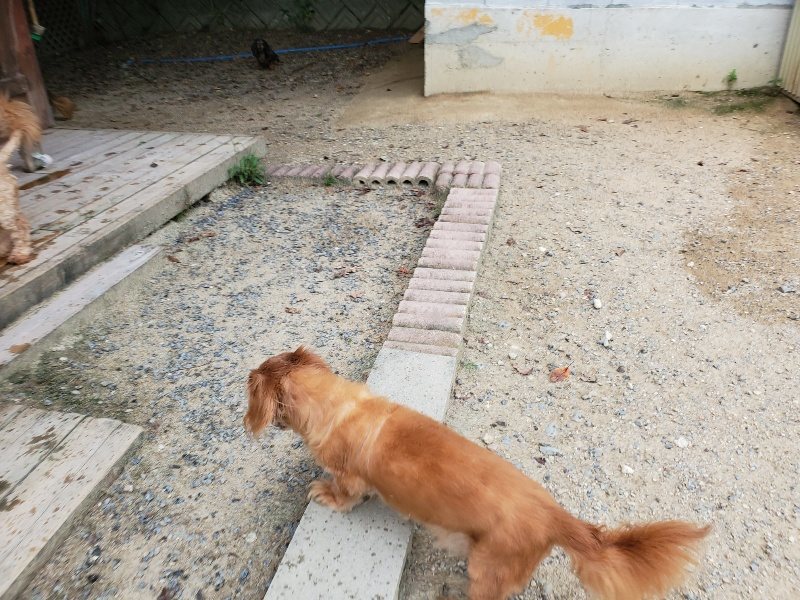 f:id:roukenhome-ann:20190911064252j:plain