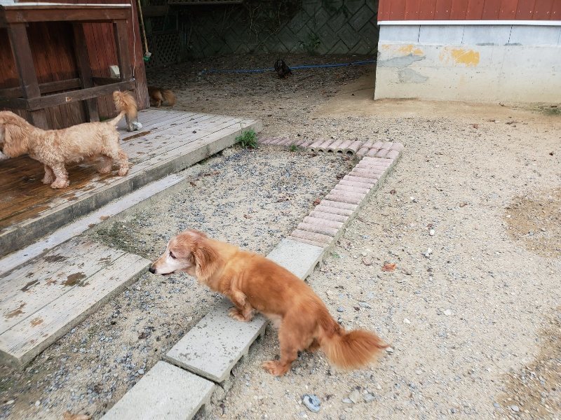 f:id:roukenhome-ann:20190911064258j:plain