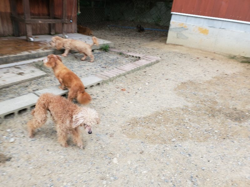 f:id:roukenhome-ann:20190911064304j:plain