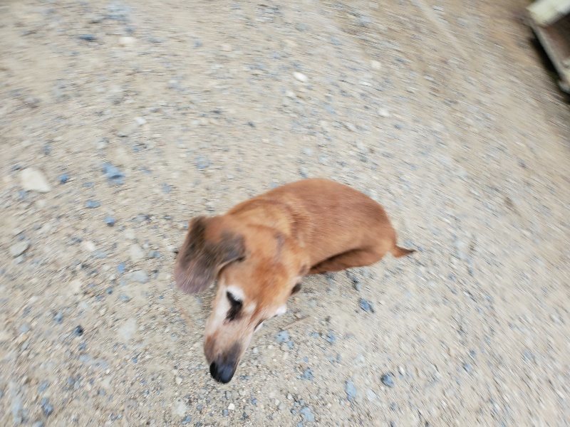 f:id:roukenhome-ann:20190911064316j:plain