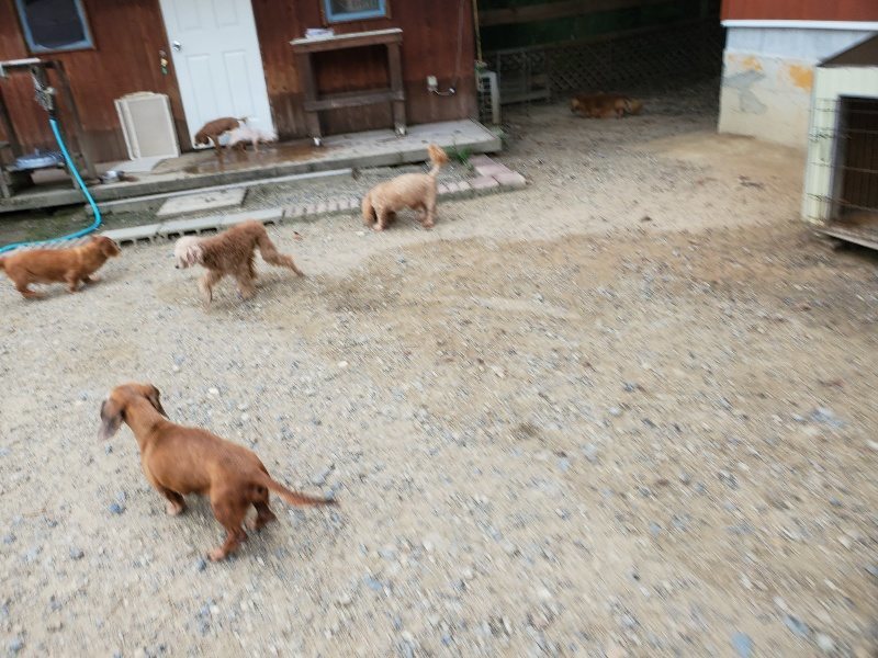 f:id:roukenhome-ann:20190911064333j:plain