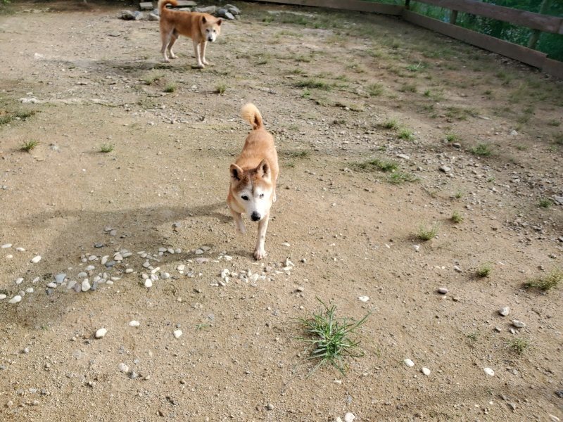 f:id:roukenhome-ann:20190913183148j:plain f:id:roukenhome-ann:20190913183148j:plain