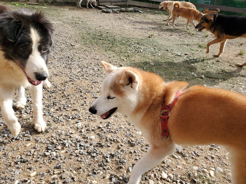 f:id:roukenhome-ann:20190913184545j:plain f:id:roukenhome-ann:20190913184545j:plain