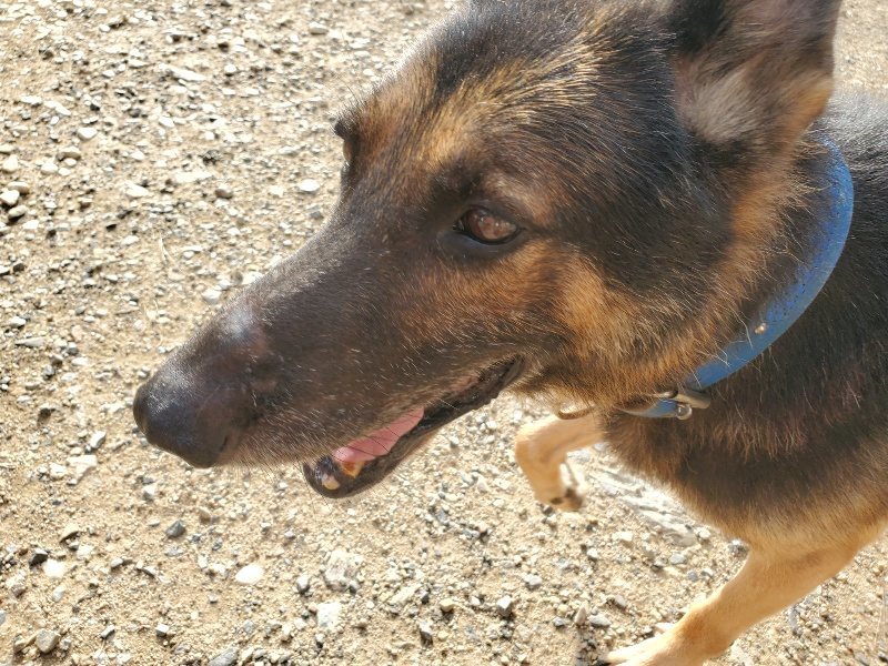 f:id:roukenhome-ann:20190913185122j:plain f:id:roukenhome-ann:20190913185122j:plain