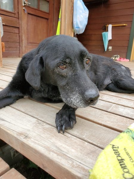 f:id:roukenhome-ann:20190913191956j:plain