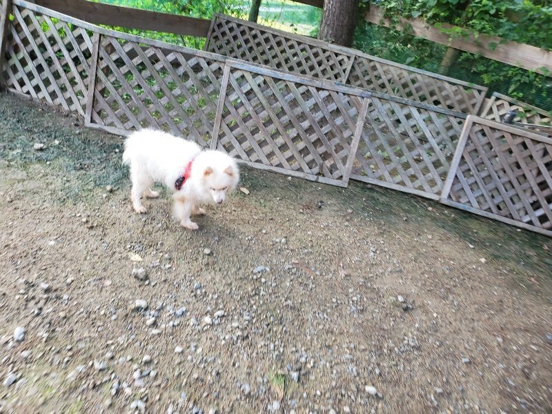 f:id:roukenhome-ann:20190913213145j:plain