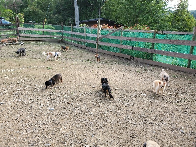 f:id:roukenhome-ann:20190913215531j:plain