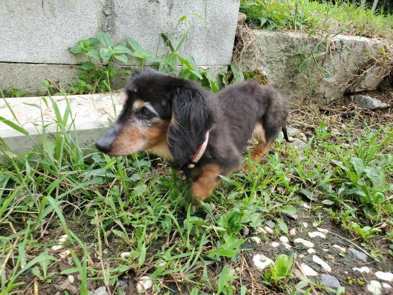 f:id:roukenhome-ann:20190914083335j:plain