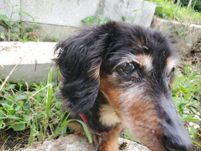 f:id:roukenhome-ann:20190914083341j:plain