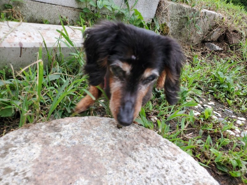 f:id:roukenhome-ann:20190914083352j:plain