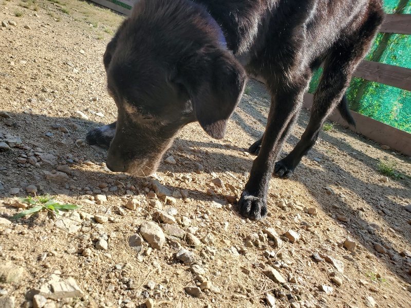 f:id:roukenhome-ann:20190916190206j:plain