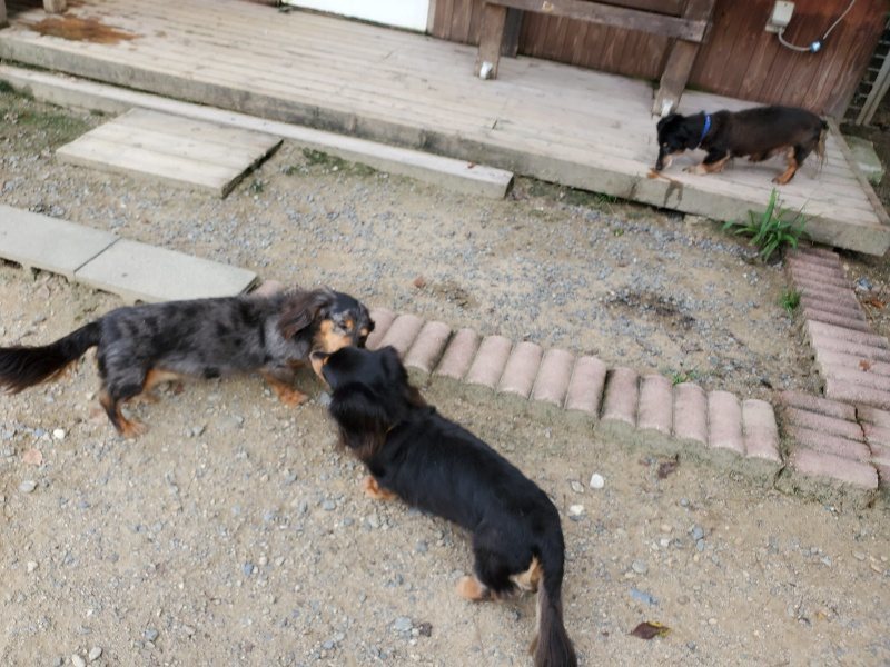 f:id:roukenhome-ann:20190917051423j:plain