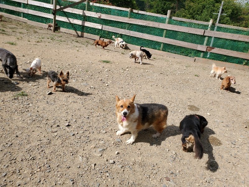 f:id:roukenhome-ann:20190917051505j:plain