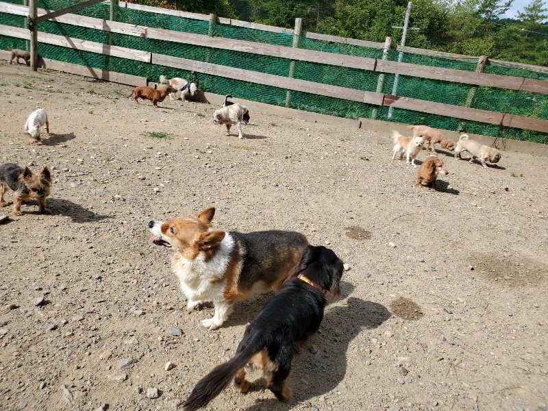 f:id:roukenhome-ann:20190917051514j:plain