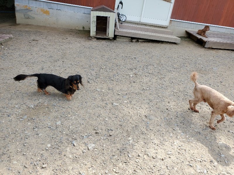 f:id:roukenhome-ann:20190917051705j:plain