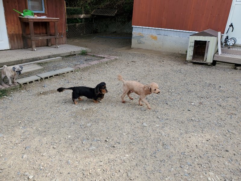 f:id:roukenhome-ann:20190917051726j:plain
