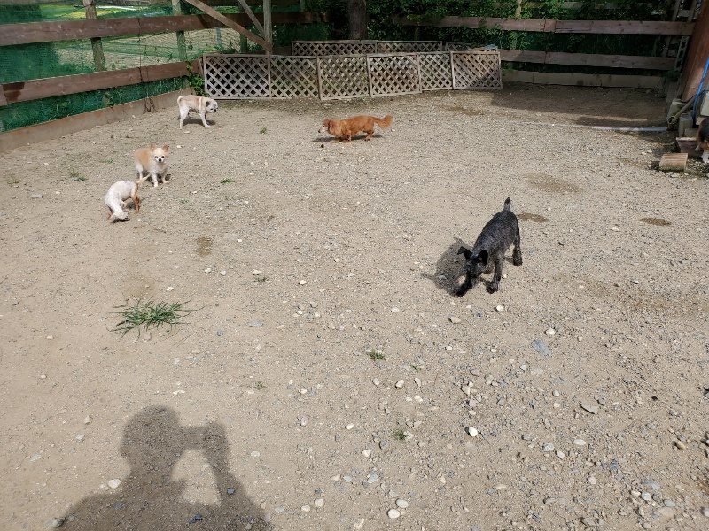f:id:roukenhome-ann:20190917051739j:plain