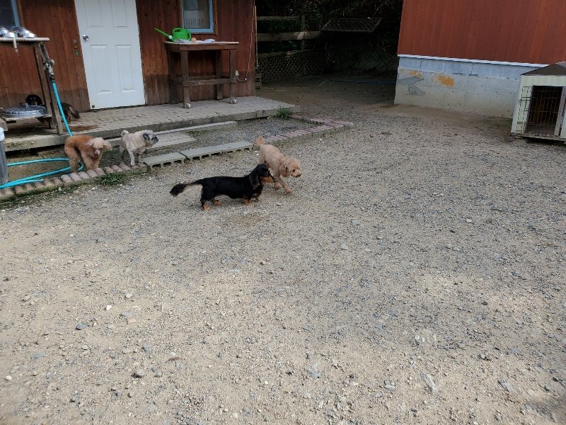f:id:roukenhome-ann:20190917051752j:plain